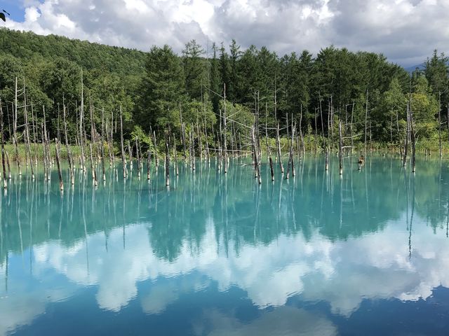 ���r_�D�y�ʉ^�N���u�Q�b�c