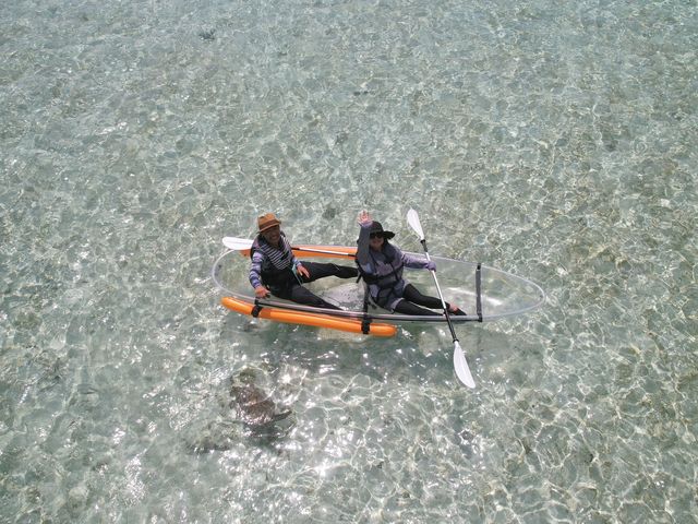 �J���b�N�̉E���ɃE�~�K�����f���Ă܂��B_Cheerful �{�Ó�