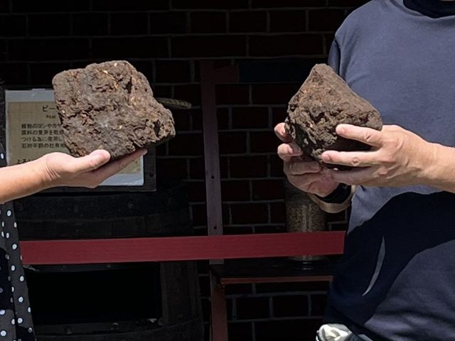 ������������R���ƂȂ�s�[�g�ɐG��邱�Ƃ��ł��܂�_�j�b�J�E���X�L�[�]�s������