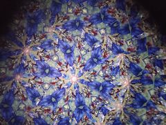 cJXehOX^܂񂰋̎ʐ^2