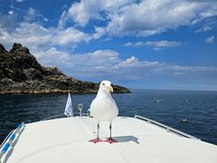 KANEHIDE@MARINE@R.X.A.N[Y̎ʐ^1