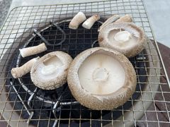 XgOe̎c񂿂̒őւ̓eʐ^1