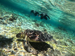 ����݂���̃_�C�r���O�V���b�v�@�l�o�[�����h�ւ̓��e�ʐ^1