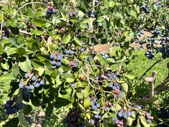 肩̃u[x[ܖւ̓eʐ^1