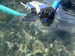 ق񂾂̃wCY_Cuւ̓eʐ^1