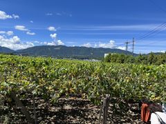 Ƃ񂳂݂̂΂̂Ԃǂւ̓eʐ^1