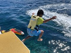 JYY̌cǊ(P})C攼cA[X@OPGւ̓eʐ^1