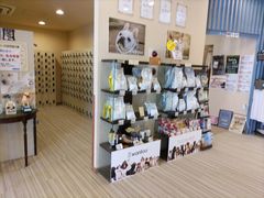 ς؂̗N킭VR@sXpւ̓eʐ^3