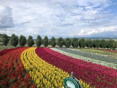 �J���N������̎D�y�ʉ^�N���u�Q�b�c�ւ̓��e�ʐ^1