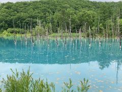 �܂�����񂽂�������̎D�y�ʉ^�N���u�Q�b�c�ւ̓��e�ʐ^1