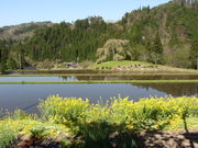 �C�C�ꃉ�C�_�[����̗^���̂�������̓��e�ʐ^3