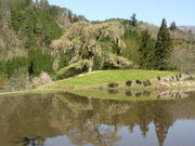 �C�C�ꃉ�C�_�[����̗^���̂�������̓��e�ʐ^4