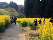 CCꃉC_[̔n̎R̓eʐ^3