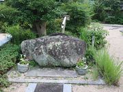 �������̑�y���̓��e�ʐ^8