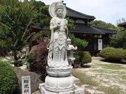 �������̒叹���̓��e�ʐ^5