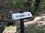 �������̒叹���̓��e�ʐ^7