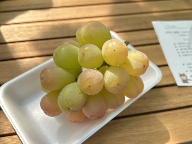 �Ⴄ�i����B������͉ʏ`�����Ղ�ŗ��傫�߁I_���� KURANSA