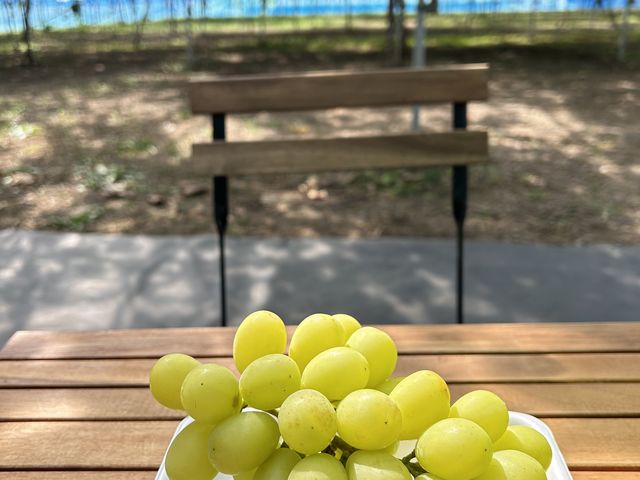 �Á[���V���C���}�X�J�b�g_���� KURANSA