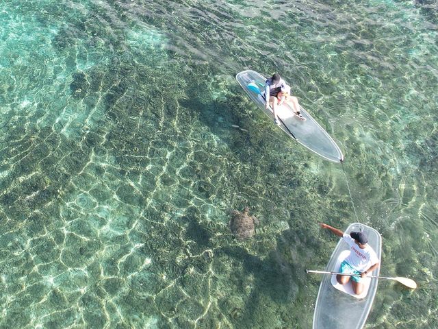 �T�����Ă���l�q_Cheerful �{�Ó�