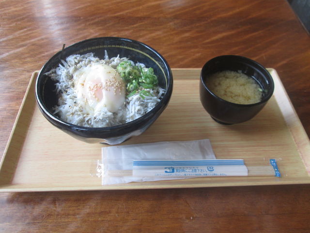 k_bNNo2̃V[TChl̓eʐ^1