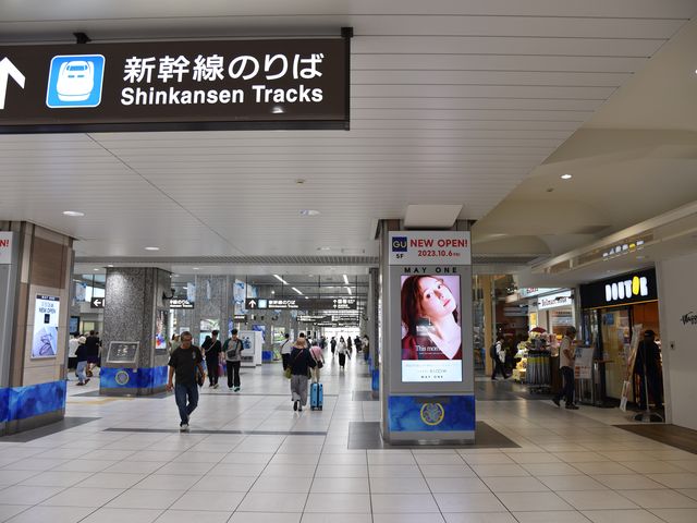 �R���R�[�X���A�ƂĂ��L���C�ł����B_�l���w