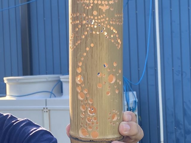 ������_�ӂ��̂��ɒ|������Ƒg��