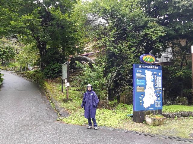 ޗǓc̗όqp̒ԏe̋}z̓H_AvXWޗǓc̗