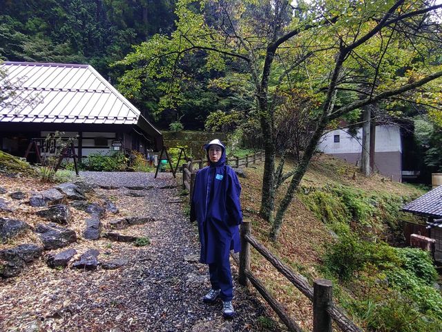 }z̓Ho5A100mŗ̌ɒ_AvXWޗǓc̗