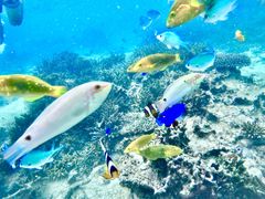 肩POWER MARINEip[}jꍡAmւ̓eʐ^1