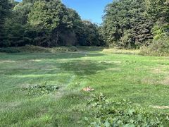 momoّ̔ZOEFCcA[ւ̓eʐ^1