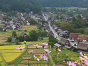 jR񂳂̓VtW]i싽j̓eʐ^2