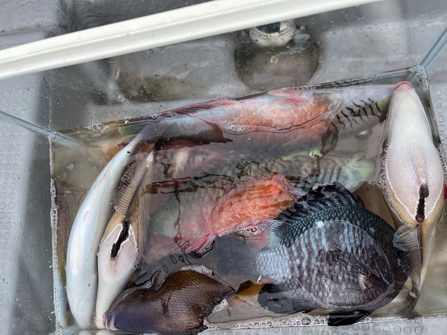 10�C���炢�ނ�܂���_�炢�����