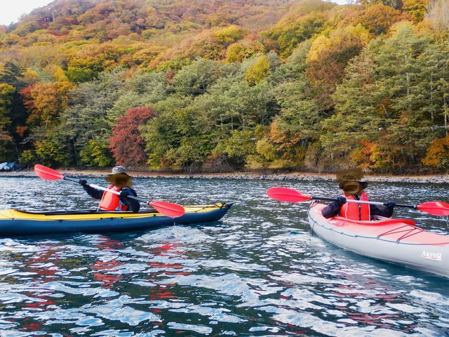 ����Y��邭�炢�������i�F�̒��Ŋy���ނ��Ƃ��ł��܂���_�{���t�@�C�A �J�k�[