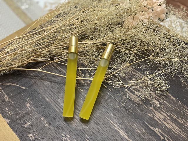 ����������͎ʐ^�B�e�I_�A���}�Ǝ��肹�����񋳎�RoomSealiah