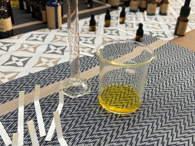 �������̗l�q_�A���}�Ǝ��肹�����񋳎�RoomSealiah