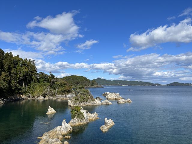 �D�ꂽ���]_�嗝�ΊC��