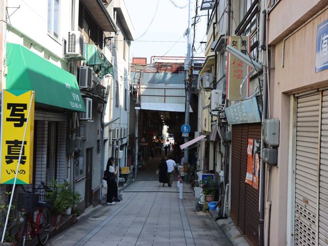 Ls@{ʂ菤XX_{ʂ菤XX