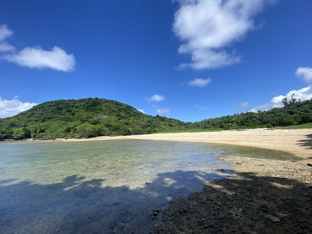 ���ۂɒނ�������|�C���g_DSF�Ί_��