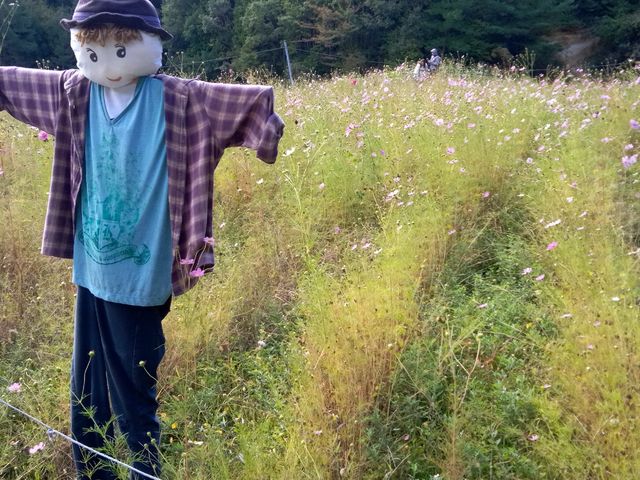 �Ԃ͂��������I��肻���ł��B_�Ƃ�̃R�X���X�̗�