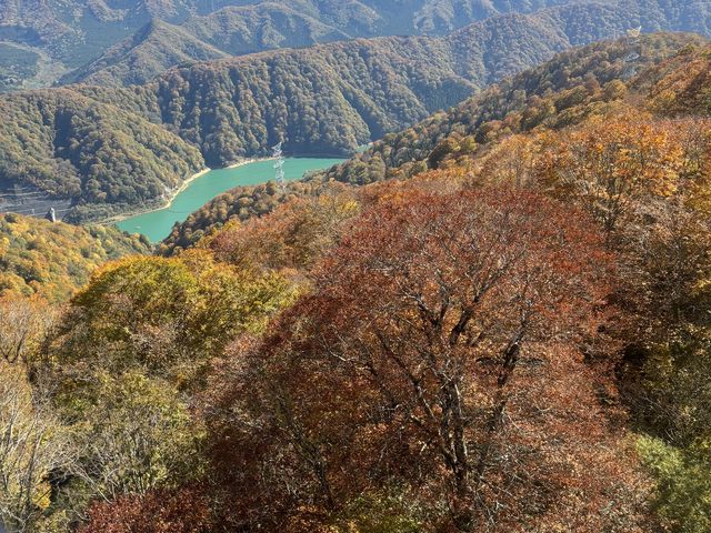 �G�������h�O���[���̓񋏌�_�c��v�����X�z�e��