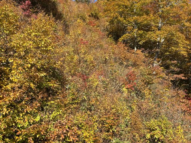 �R���w�܂ł��ƂT���ق�_�c��v�����X�z�e��