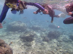 ͂邳̐̓A@Dive@ւ̓eʐ^1