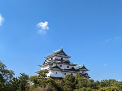 ̂񂽂Ă̘a̎Rւ̓eʐ^1