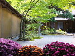 jR񂳂̈bώRւ̓eʐ^1