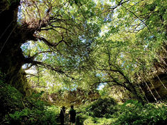 ͂̃nbs[ACh{Âւ̓eʐ^2