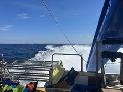 EXP̌cǊ(P})C攼cA[X@OPGւ̓eʐ^1