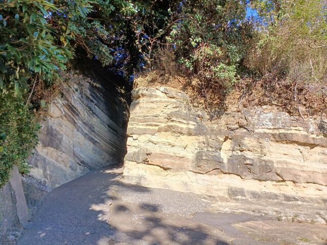 �쑤�ʘH�̐ؒʁB�n�w���ڂ������܂��B_�ω��铔��