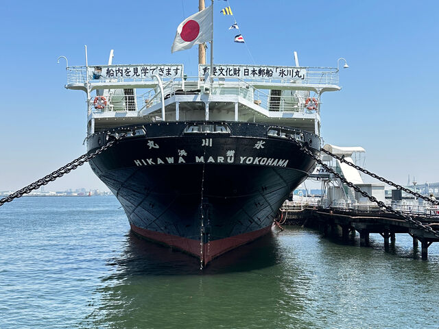 ���{�X�D �X��� �d�v������_���{�X�D�X���