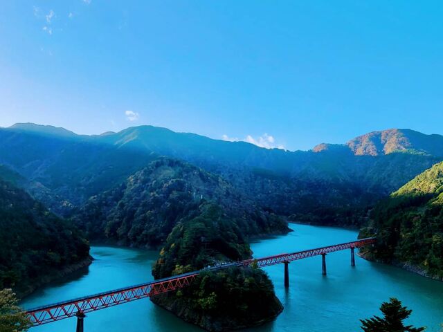 �鋫�w�ɂ��A�閾���͂���ė��܂��B_�����Ώ�w