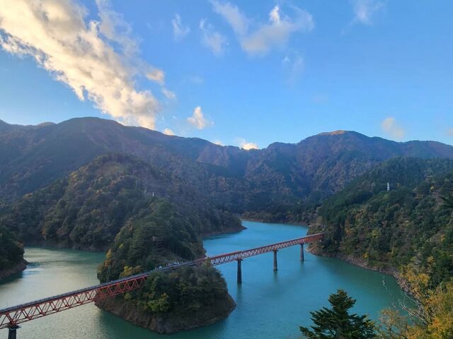 �������������ł����A���̊������Y��邭�炢�̕��i�ł����B_�����Ώ�w